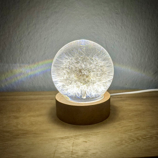 Lampe mit echter Pusteblume