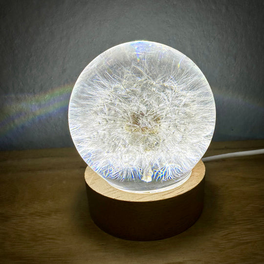 Lampe mit echter Pusteblume
