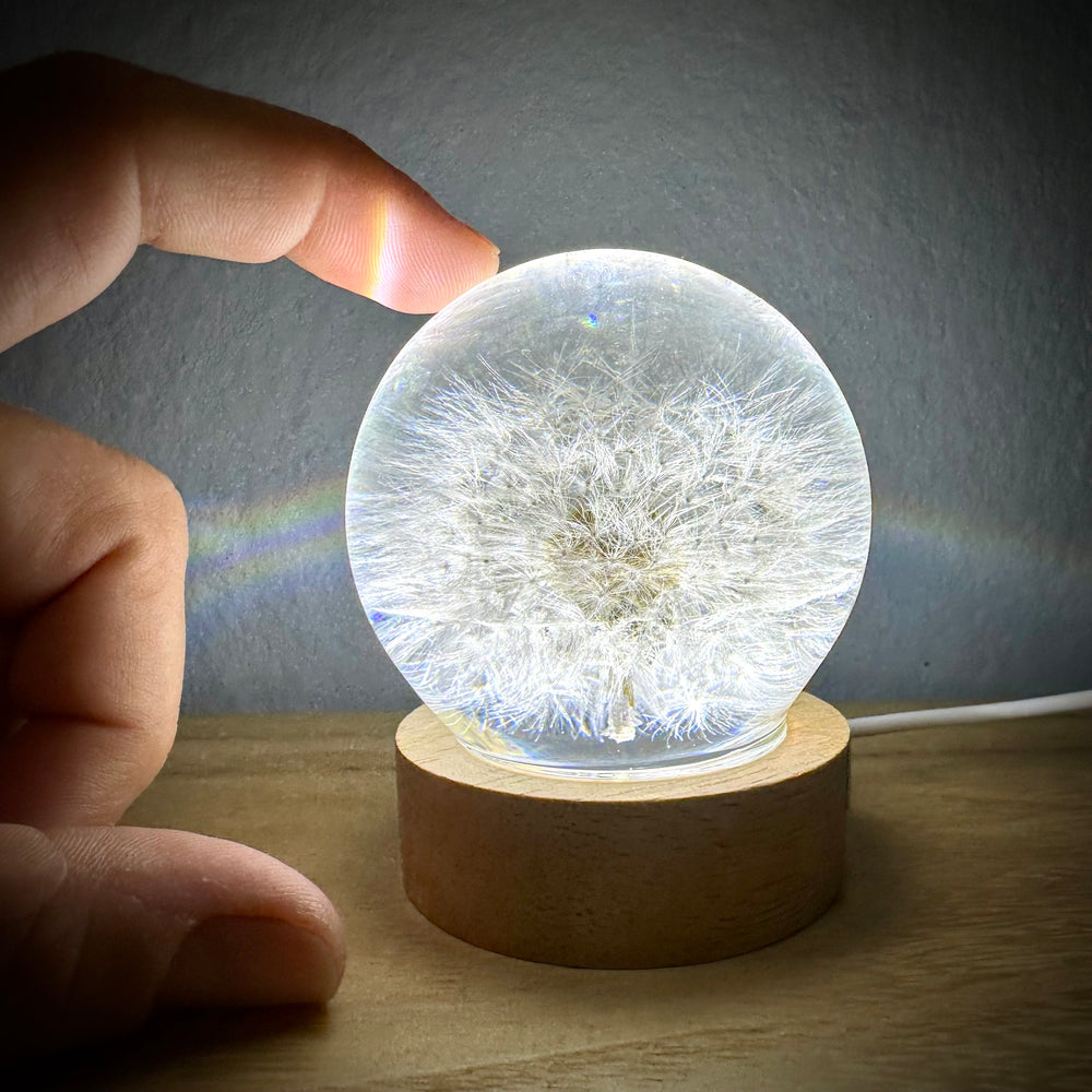 Lampe mit echter Pusteblume