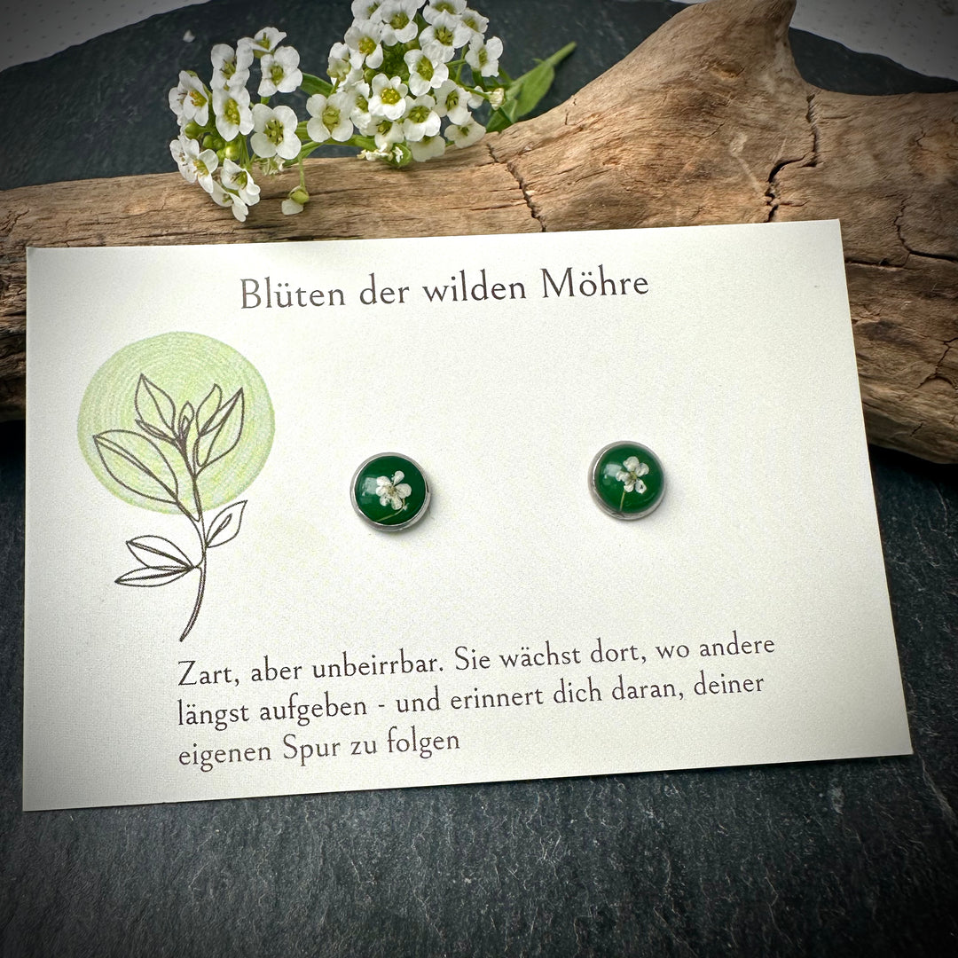 Ohrstecker "wilde Möhre" mini, moosgrün