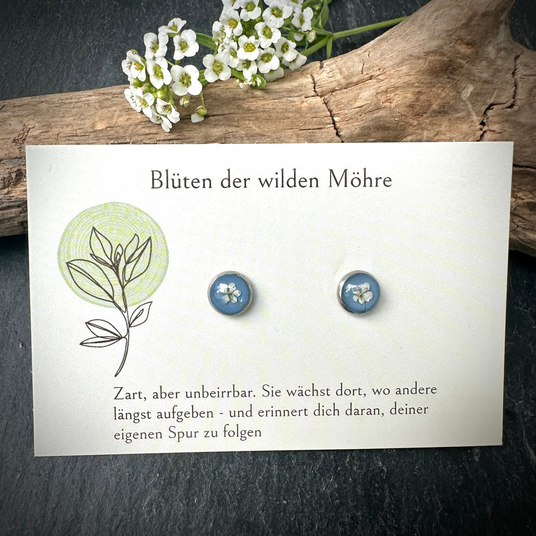 Ohrstecker "wilde Möhre" mini, hellblau