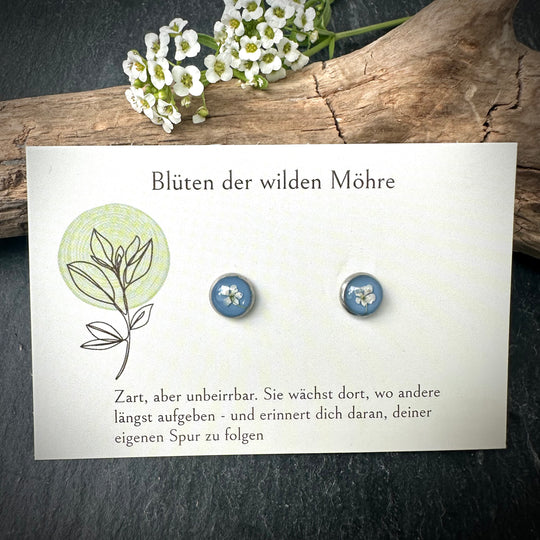 Ohrstecker "wilde Möhre" mini, hellblau