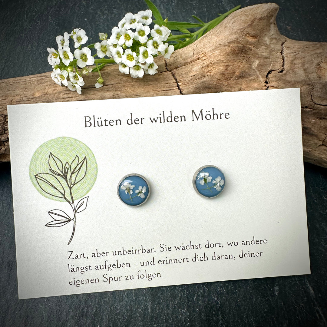 Ohrstecker "wilde Möhre", hellblau