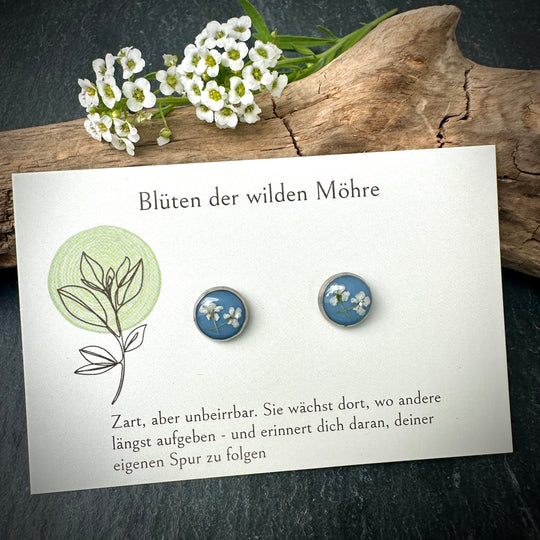 Ohrstecker "wilde Möhre", hellblau