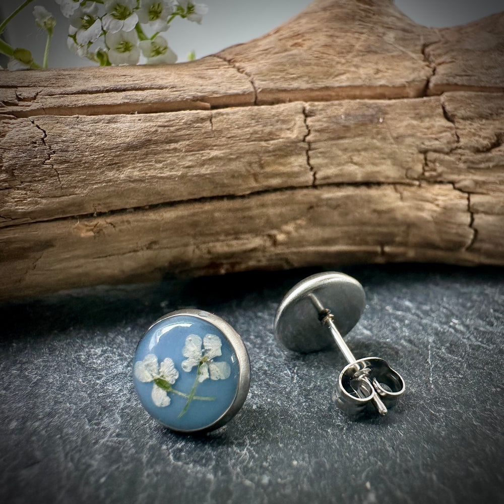 Ohrstecker "wilde Möhre", hellblau