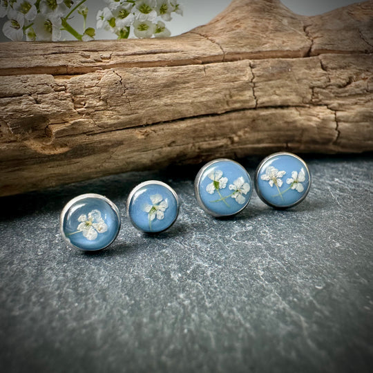 Ohrstecker "wilde Möhre", hellblau