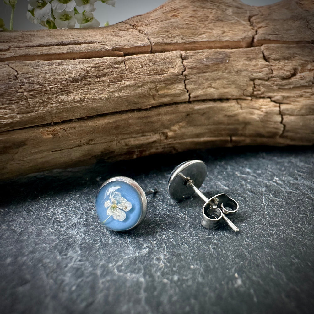 Ohrstecker "wilde Möhre" mini, hellblau