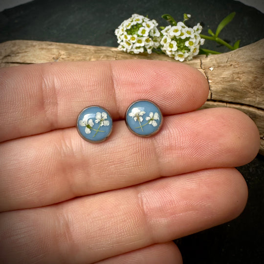Ohrstecker "wilde Möhre", hellblau
