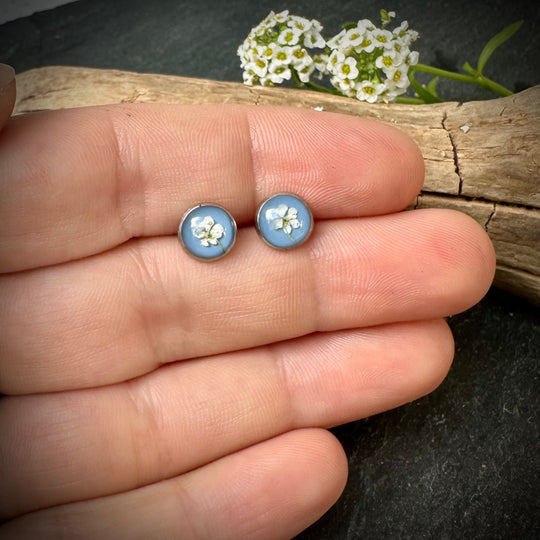 Ohrstecker "wilde Möhre" mini, hellblau