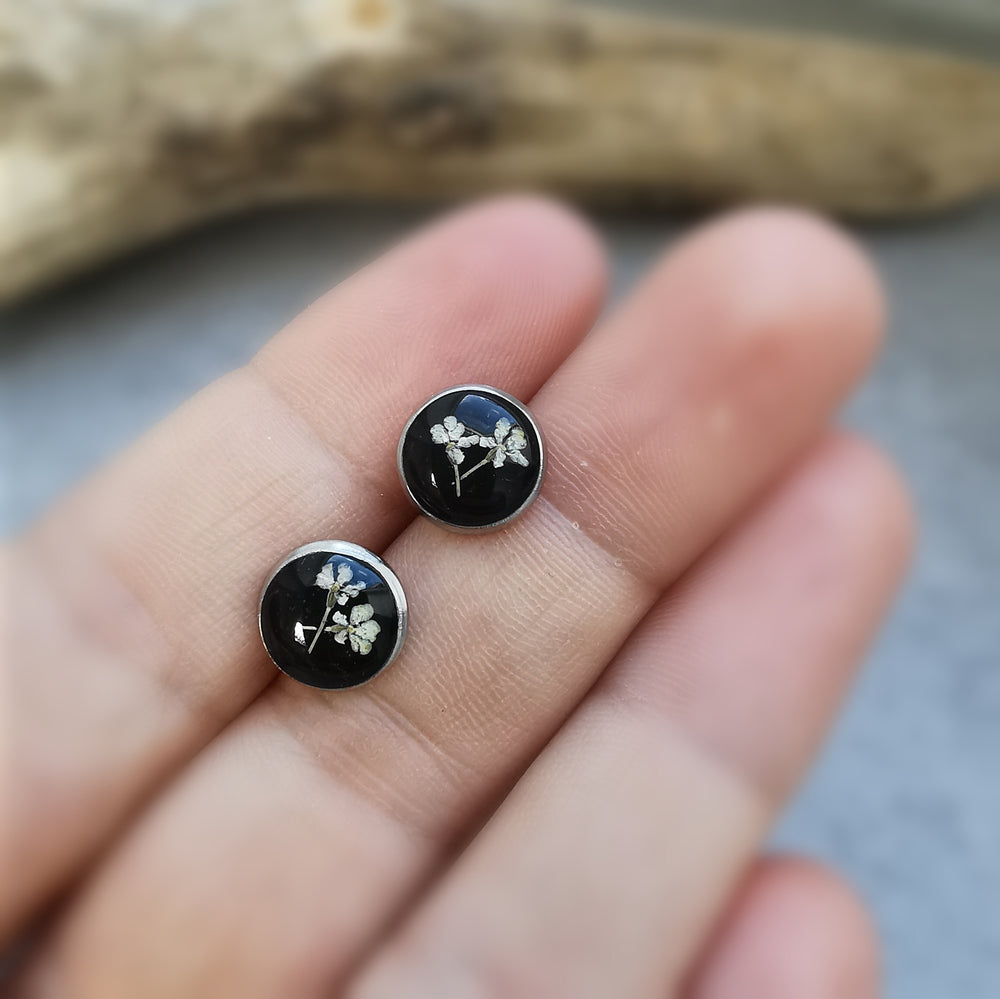 Ohrstecker "wilde Möhre", schwarz